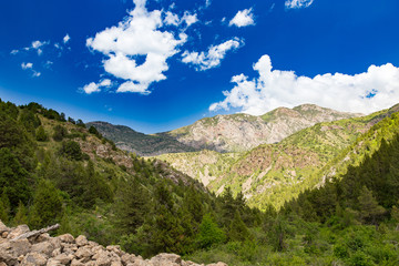 Beautiful nature in the Himalayas in spring