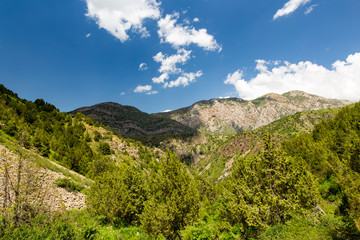 Beautiful nature in the Himalayas in spring