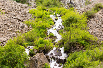 River in the Tian Shan mountains in the spring