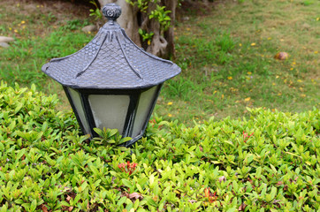 Fototapeta na wymiar Garden lamp with green grass
