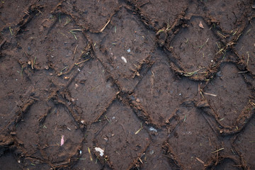 Wheel tracks on the soil.