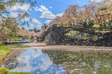 	春の天守移転後の弘前城の風景