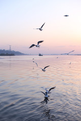 Sunset on the Volga