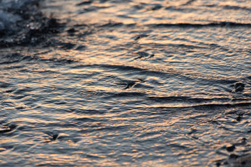 A close view of water on a lake shore at sunset, with details of sands and little round stones