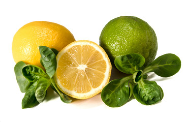 lemon, lime laid on a white background