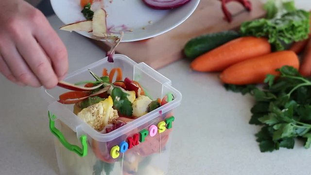 Kitchen compost food waste caddy. Peelings and food scraps ready for the compost bin