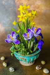 Easter decoration - First spring flowers and quail eggs