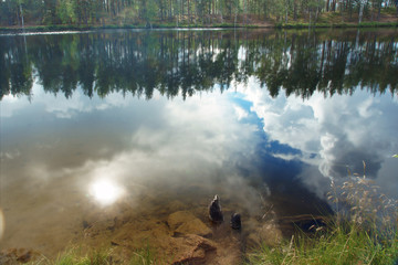 A forest lake in which clouds and sun are reflected, and under the water is seen the bottom, the forest along the edge on the shore