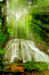 Water falls landscape colorful leaves on trees