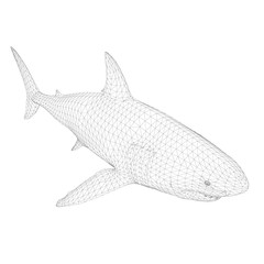 Fototapeta premium Polygonal 3D Shark