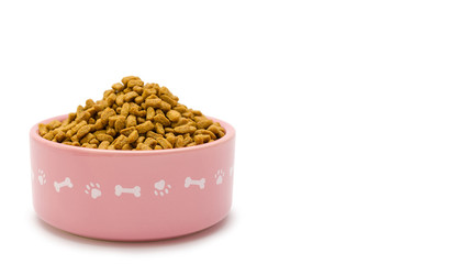 bowl full of food for domestic pets, isolated on white background. copy space, template.