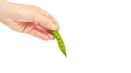 Beautiful female hand holds green fresh pea gesture. Isolated on white background. copy space, template