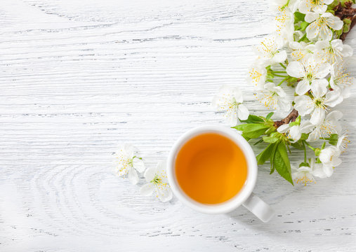 Cup of green tea and  branch of blossom  cherry  on   white  wooden table.
