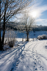 Feldweg mit Schnee