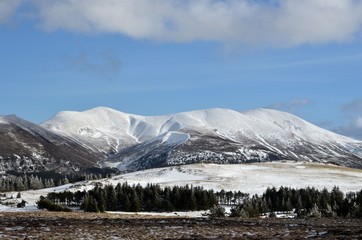 Massif du Sancy, Puy de l'Angle, Auvergne, France