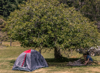 Camping in the shade of the trees