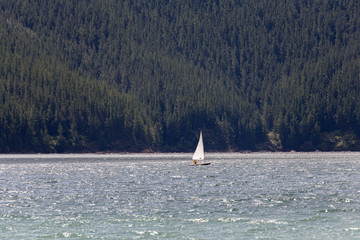 Naklejka premium Young man on the sailing boat
