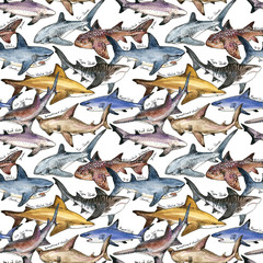 watercolor shark seamless pattern. Underwater tropical life illustration.