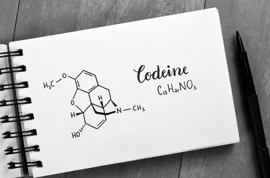 CODEINE Chemical Formula and Structure in Notebook