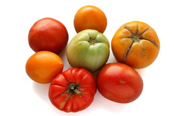 Organic concept of tomatoes - red;green and yellow on white background