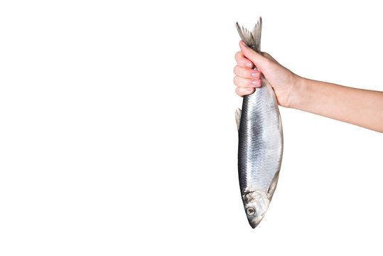 cropped image of woman holding fish in hand isolated on white