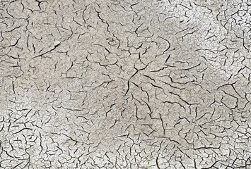 Trockenheit, Dürre, drought,, 18023.jpg