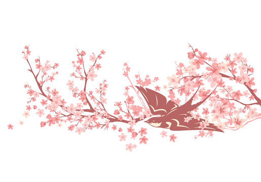 swallow bird among blooming sakura branches - spring season cherry tree vector design