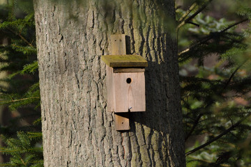 Nest box