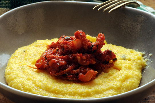 Polenta y Eledone moschata Musky octopus Moscardino Moschuskrake Pieuvre musqu&eacute;e 