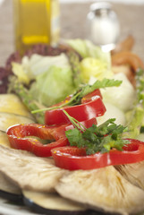 Plate of vegetables, grill, olive oil, healthy food 1