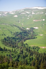 Summer mountain landscape.