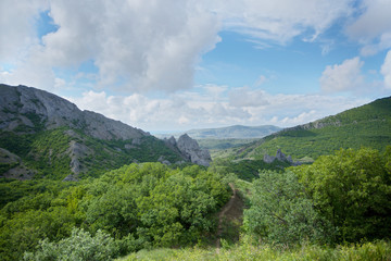 Summer mountain landscape.