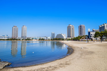 Obraz premium お台場海浜公園の風景