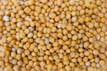 Yellow mustard seeds spices