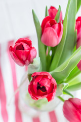 Beautiful spring flowers red tulips on a striped background. Free space
