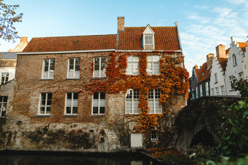 beautiful old house with ivy on wall near canal and bridge in brugge, belgium