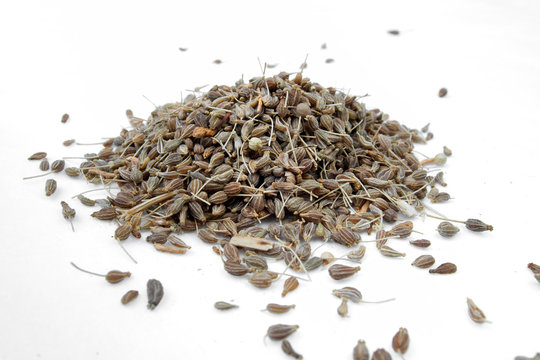 Aniz - Anise - Pimpinella anisum spices