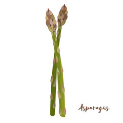 Asparagus. Flat design. Vector illustration.