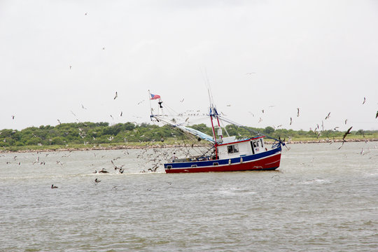 A fishing boat surrounded by sea birds heads out of Galveston Bay, Texas, on its way to Gulf Coast Waters