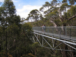 Couple walk across the tree top walk ways in the Valley of the Giants, Walpole, Western Australia