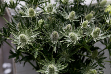 flower Ikibana on a black background, bouquet in a glass vase