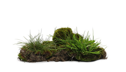 Green grass with dirt, soil isolated on white background and texture