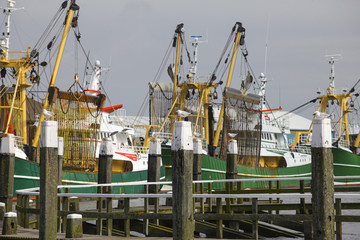 Ships in the port in the Holland Island Texel