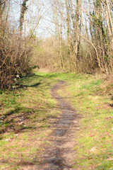 The beautiful views of the French mountains and the surrounding area, South of France, Europe.
