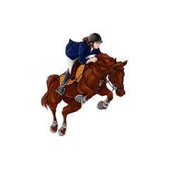 Woman, Girl riding horses Vector Illustration, isolated.