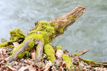 The beautiful views of the French mountains and the surrounding area, South of France, Europe.