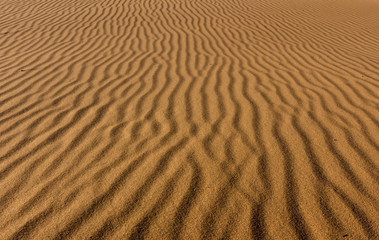 Ripples in the desert sand  dunes in israel negev