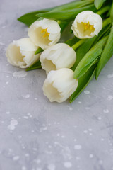 Obraz na płótnie Canvas Bunch of spring tulips flower