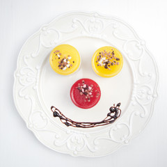 Sweet colourful fruit panna cotta with chocolate decoration