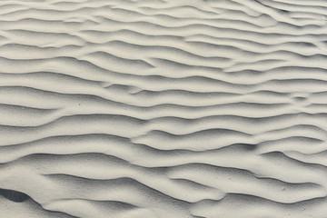 Obraz premium Beach Background